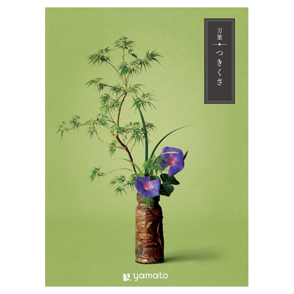 �J�^���O�M�t�g ���t ������